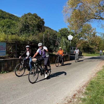 Fahrradfahrer fahren auf einem Radweg.