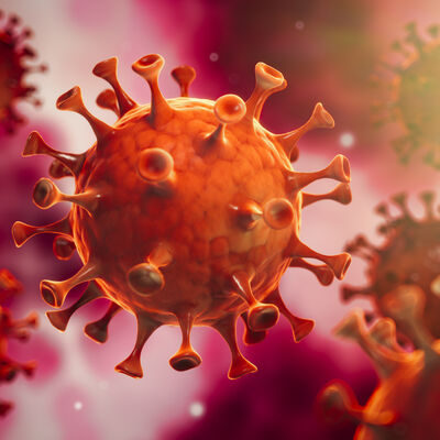 Corona Virus im Inneren des Körpers - Wuhan Virus
