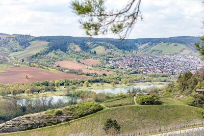 Weinlehrpfad Veitsh&ouml;chheim
