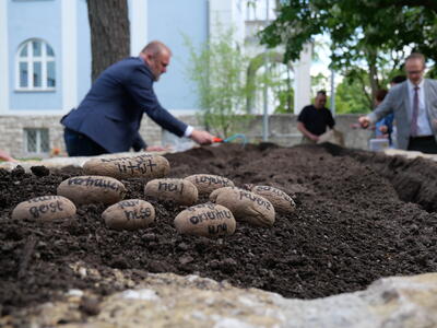 Pflanzaktion WERTEvolles LRA by Lucas Kesselhut (3)