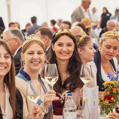 Festakt 50 Jahre Landkreis W&uuml;rzburg