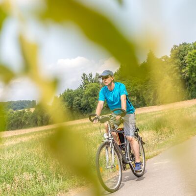 Ein Mountainbiker fährt auf einer geteerten Strecke zwischen Gadheim und Güntersleben. Im Hintergrund stehen Bäume. Rechts des Radfahrers befindet sich eine Wiese.
