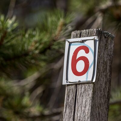 Zahl, die auf einem Holzpflock befestigt ist. Markiert eine Wegestation auf dem Natur- und Lehrpfad.
