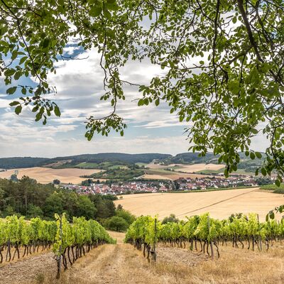 Weinberge und abgeerntete Felder. Im Hintergrund die H&auml;user von Leinach.