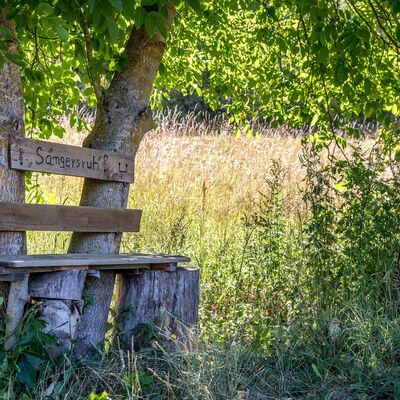 Selbstgezimmerte Bank zwischen zwei B&auml;umen. Auf der Lehne steht "S&auml;ngersruh" mit aufgemalten Notenschl&uuml;sseln und Noten.