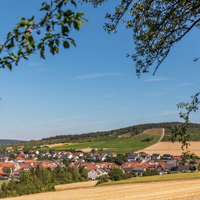 Wanderung vom Espenloh zum Himmelberg durch den Leinacher Muschelkalk