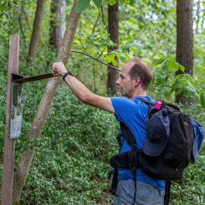 Ein Wanderer betrachtet auf dem Pirschpfad eine Info-Tafel &uuml;ber die heimische Tierwelt.