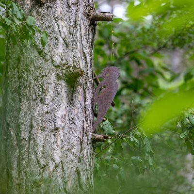 Spechtfigur aus Metall, die an einem Baum angebracht ist. Die Figur gehört zum Pirschpfad, auf dem mehrere Tier-Silhouetten versteckt sind.