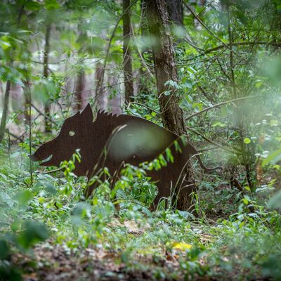 Figur eines Wildschweins aus Metall, das im Wald aufgestellt wurde. Die Figur ist Teil des Pirschpfads, auf dem verschiedene Tier-Silhouetten entdeckt werden sollen.