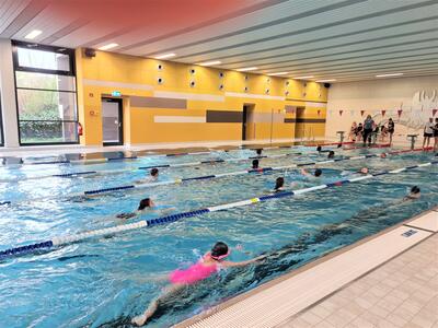 Kreisschwimmfest Ochsenfurt 2023 - by Sandra Handke (5)