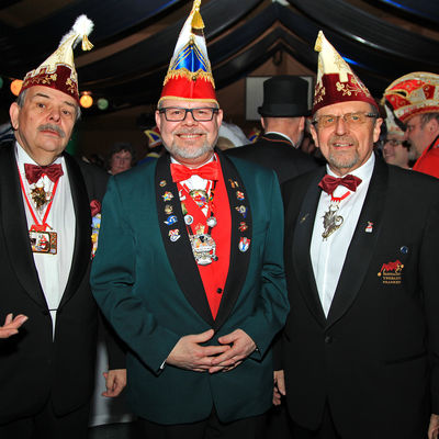 Bild vergr&ouml;&szlig;ern: Landkreisfasching 2017