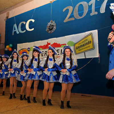 Bild vergr&ouml;&szlig;ern: Landkreisfasching 2017