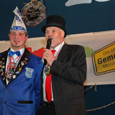 Bild vergr&ouml;&szlig;ern: Landkreisfasching 2017