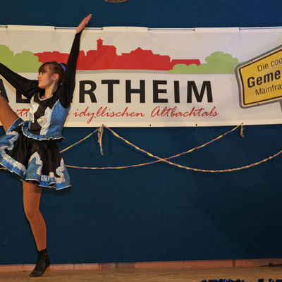 Bild vergr&ouml;&szlig;ern: Landkreisfasching 2017