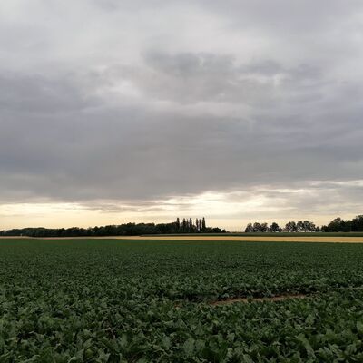 Kulturweg Vom Minnesang zum D&uuml;senklang - Wegimpression