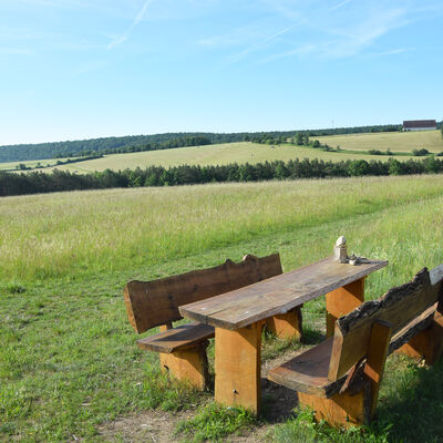Wasserlehrpfad Zell am Main