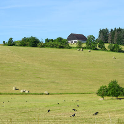 Wasserlehrpfad Zell am Main