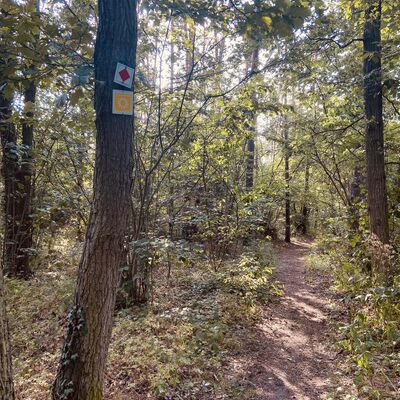 Sommerhausen Ortsgeschichte (1)