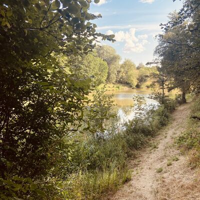 Sommerhausen Ortsgeschichte (2)