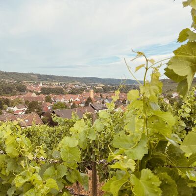 Sommerhausen Ortsgeschichte (4)